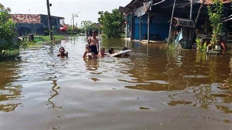 Tanggul Sungai Meduri Pekalongan Jebol Tiga Desa Terendam Banjir Rob