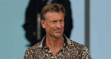 ALGÉRIE HERVÉ RENARD PISTE CRÉDIBLE POUR LES FENNECS Bladi