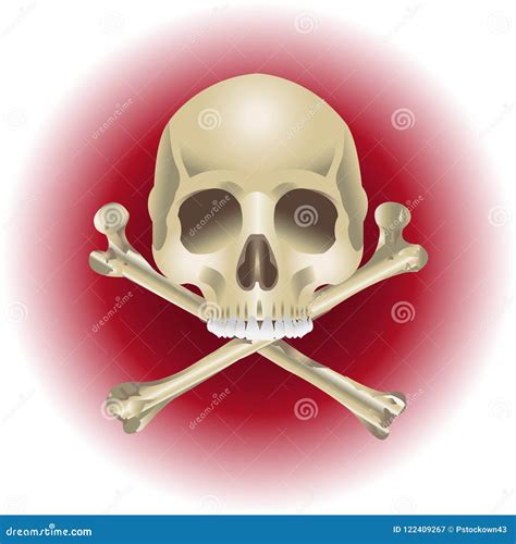 Human Skull And Crossbones Modern Style Stock Vector Illustration Of