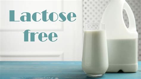 Lactose Free Milk: A Sip Towards Wellness