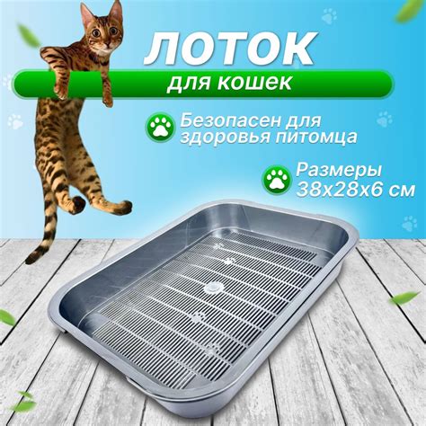 Кошачий лоток - купить с доставкой по выгодным ценам в интернет ...