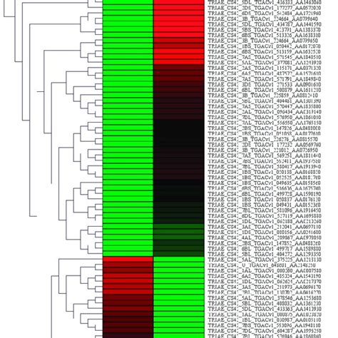 A Heat Map Of Differentially Expressed Genes Of T Indica The Color