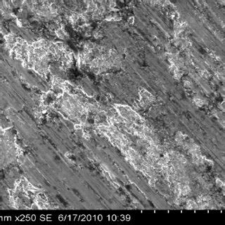 Sem Micrograph Of Worn Surface Of Al Alloy Wt Graphite