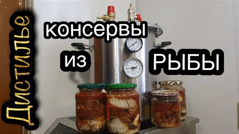 Рыба в кореньях на автоклаве Fansel Mini - YouTube