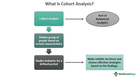 Cohort Analysis - Definition, Types, Steps and Examples