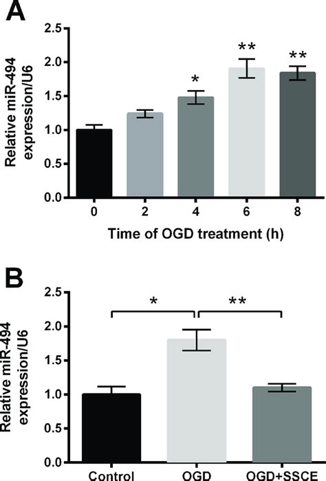 MicroRNA MiR 494 Is Up Regulated By Oxygen And Glucose Deprivation