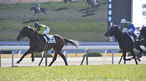 ＜京都6r新馬戦＞直線逃げ切り勝利したm・デムーロ騎手騎乗のサトノソロモン（左）＝撮影・田中健作 ― スポニチ Sponichi Annex