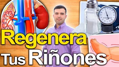 5 PASOS PARA REGENERAR LOS RIÑONES Como Mantener Tus Riñones Sanos