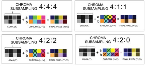 The Anatomy of Chroma Subsampling | Your image, Green screen footage ...