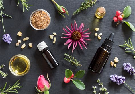 What Is Holistic Medicine The Complete Guide