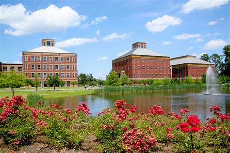 Georgia Southern University (GSU) (Atlanta, GA, USA)