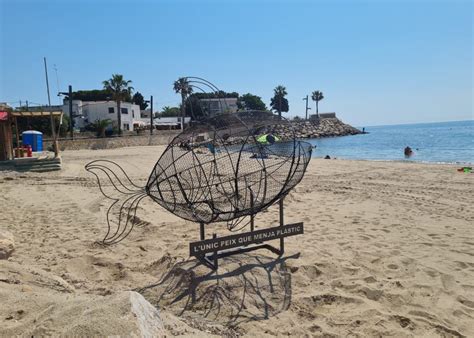 El Peix Que Menja Pl Stic Lescultura De La Platja De Les Avellanes