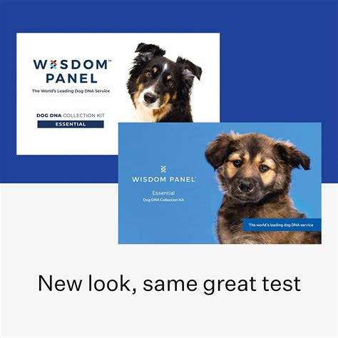 Wisdom Panel Essential Dog DNA Test - Gift Guru