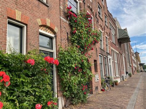 NK Tegelwippen 2022 Gouda Doet Mee De Tuin Van Nu