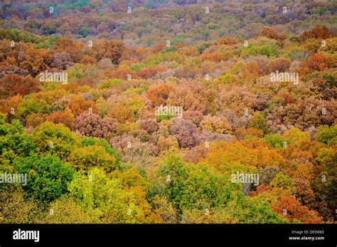 Brown County State Park Stock Photo - Alamy