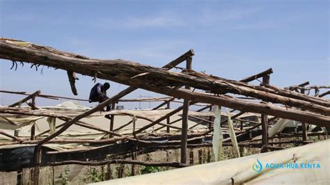 Greenhouse Repair Services In Kenya Aqua Hub Kenya