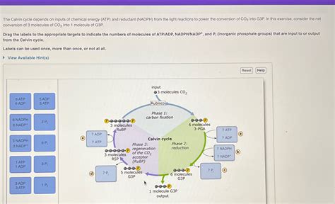 Solved The Calvin Cycle Depends On Inputs Of Chemical Energy Chegg