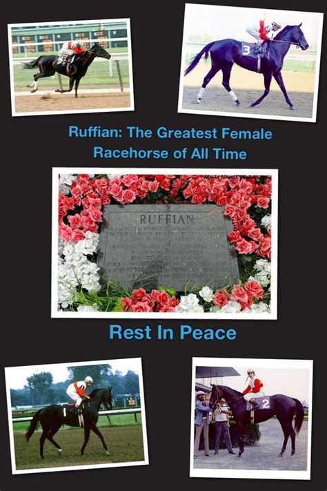 Ruffian collage I made with her grave stone | Horse love, Thoroughbred ...