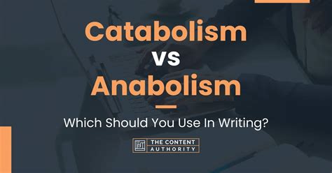 Catabolism vs Anabolism: Which Should You Use In Writing?