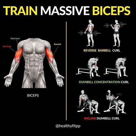 Add Serious Size To Your Biceps By Focusing More Abs And Cardio