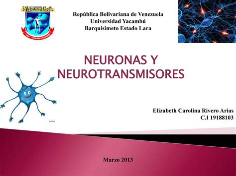 Neurona Y Neurotransmisores Ppt