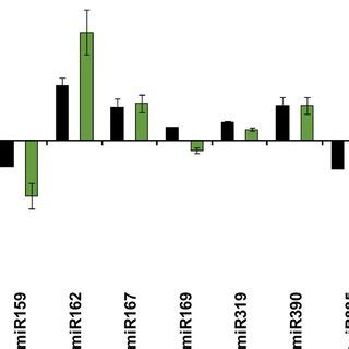 Real Time RTPCR Validation Of Microarray Data Of Eight MiRNAs Of B