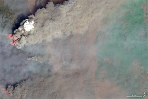 Smoke Plumes Tower Over California