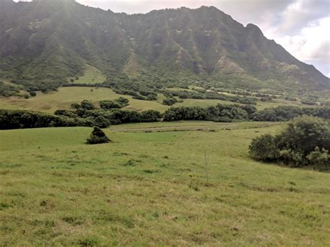 Kualoa Ranch Horseback Riding Review | Credit Carrots