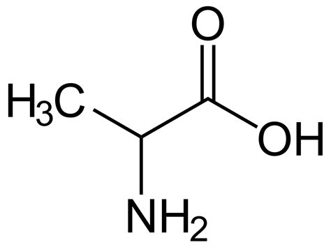 Alanine – NutraWiki