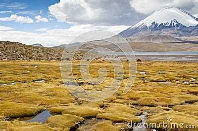 Lauca National Park Royalty-Free Stock Photography | CartoonDealer.com ...