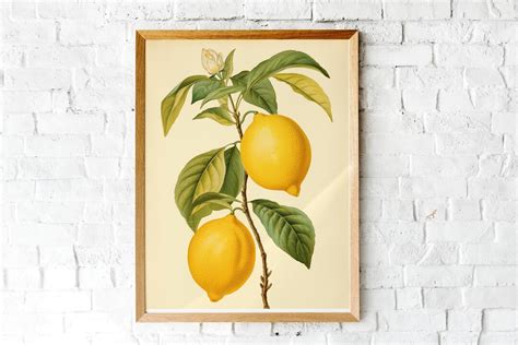 Vintage Lemon Tree Wall Art Kitchen Botanical Art Print Vegetarian T