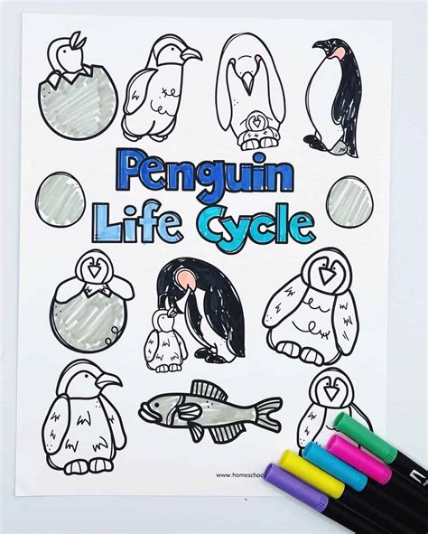 10 Free Life Cycle of a Penguin Worksheets - Homeschool of 1