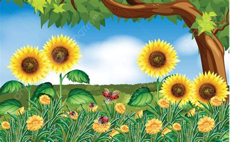 Girasoles Y Mariquitas En El Jard N Dibujo De Paisaje De Girasol Vector