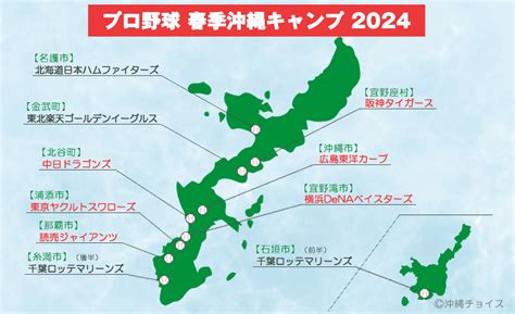 沖縄で開催されるプロ野球（セ・リーグ）春季キャンプ情報（2024年版） 沖縄チョイス