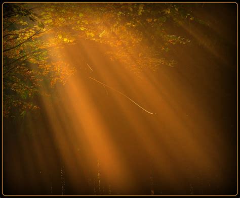 Fondos De Pantalla Luz De Sol Naturaleza Reflexi N Amanecer