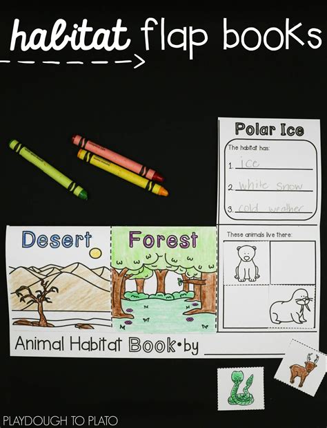 animal features activity 1