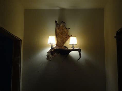 Moose Antler Fallow Deer Antler Sconce Montana Antler Works