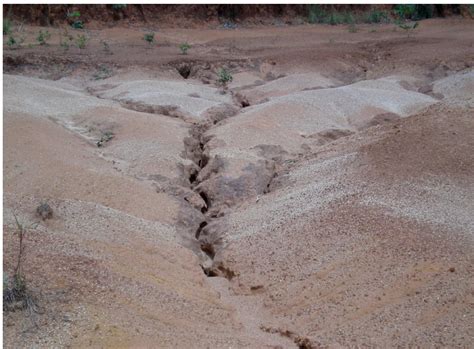 Onset Of Gully Erosion Triggered By Deforestation And Topsoil