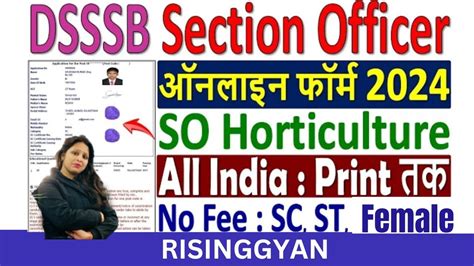 DSSSB Section Officer Online Form 2024 Kaise Bhare How To Fill DSSSB