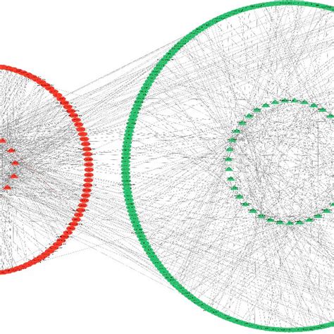 Interaction Network Diagram Of Differentially Expressed Lncrna And