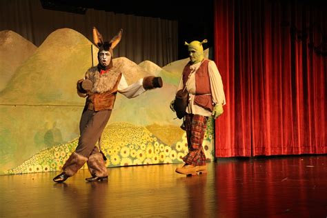 Fchs Shrek Costumes Donkey Shrek Shrek Costume Shrek Costumes