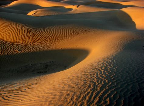 Sunset On The Dunes Of The Great Indian Thar Desert Flickr