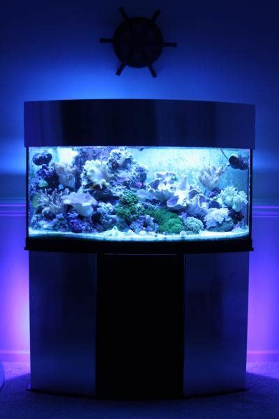 72 Gallon Oceanic Bow Front Package The Reef Tank