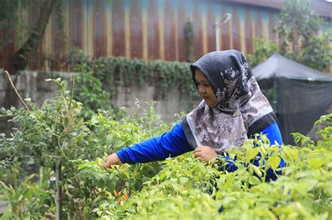 Inovasi Maklor Kecamatan Periuk Kota Tangerang Sukses Turunkan Angka