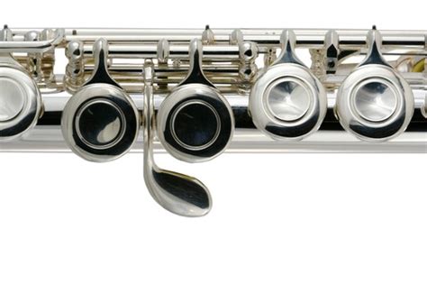 Fun Facts About Flutes Willan Academy Of Music