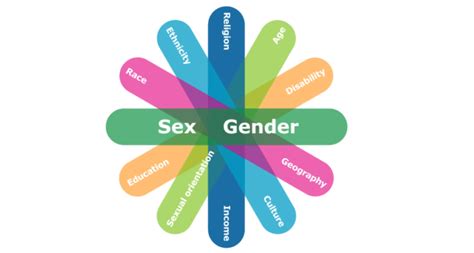 Navigating Sex Equality Under The Era Balancing Inclusion And Legal