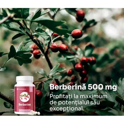 Berberina 500 Mg 90 Capsule Extract De Berberis Aristata Afin Indian