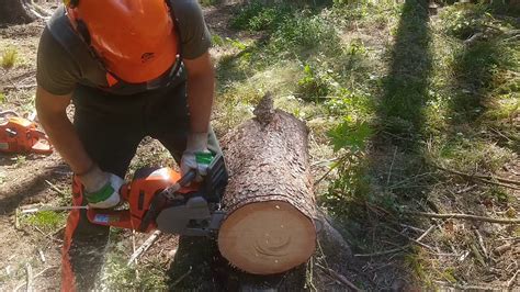 Husqvarna 550 XPG Mark II Vs Husqvarna 455 Rancher I Bigbore Ported