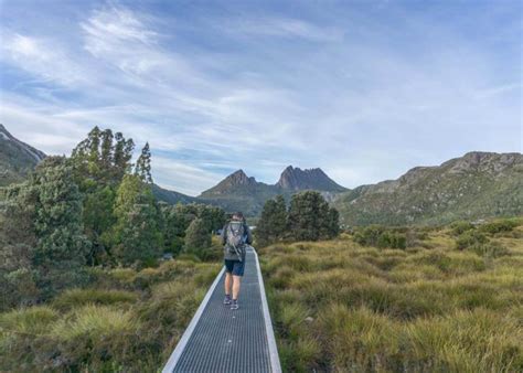 Cradle Mountain Summit Walk: Ultimate Guide [2024]