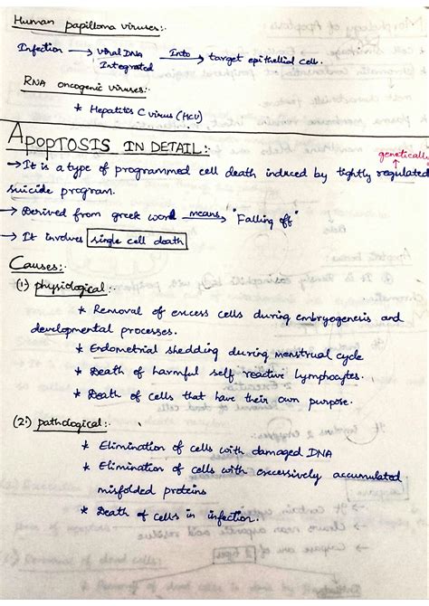 Solution Apoptosis Studypool